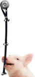 SunGrow Dog & Ferret Potty Door Bell - 34 Inches, Nylon Bells for House-Training Small to Large Pets
