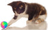 FineInno LED Dog Ball, 2Pcs Light Up Glow in The Dark Flashing Elastic Pet Toys for Dogs, Cats, and Puppies