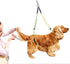 Oumefar Adjustable Pet Grooming Leash, No-Sit Haunch Holder Restraint for Dogs Cats Grooming Table Arm (Yellow+Green)