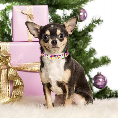Dog Collars for Small Dogs, 3D Print Pattern Soft Nylon Pet Puppy Collars Adjustable for XS Small Medium Large Dogs Girl Boy, Colorful Triangle S
