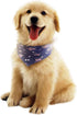 American Flag Square Bandanas Bibs for Dogs and Cats, Washable Kerchief Collar (Blue)