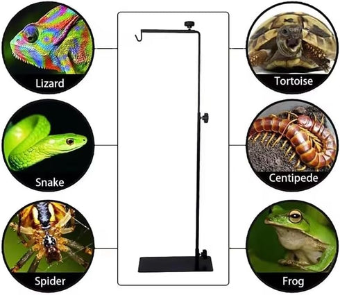 25-37inch EatingBiting Amphibian Reptile Lampshade Lamp Holder Adjustable Extendable Metal Floor Lamp Holder Portable