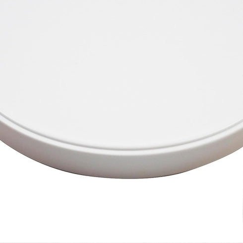 OMEM Reptile Food Bowl Water Dish - Feeding Dish for Birds, Large, White