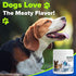 Natural Dog Supplement with 18 Vitamins & Minerals, Mixes with Water or Food, Beef
