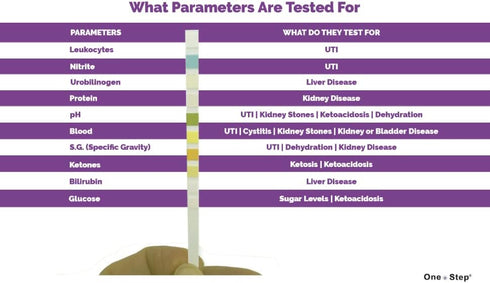Pet Urine Testing Strips, 50 x Urinalysis Parameter Tests for Dogs, Cats, Accurate Testing for Vets