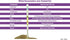 Pet Urine Testing Strips, 50 x Urinalysis Parameter Tests for Dogs, Cats, Accurate Testing for Vets