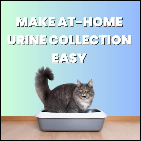 Creative Science Nosorb Non-Absorbent Cat Litter, 6 oz, Easily Collect Urine Samples
