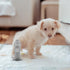 3 Pack 5.11X2.36X1.57In Dog Urine Post Indoor Pee Station Pet Training Toilet Accessories Urine Guide Column Easy