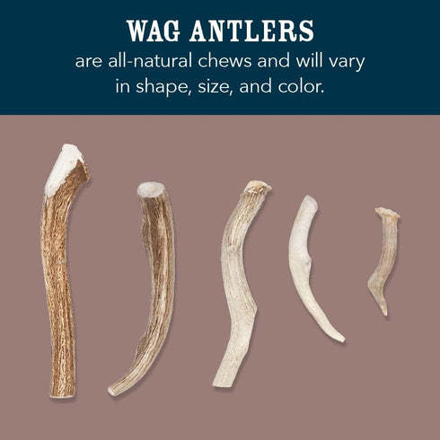 Amazon Brand – Wag Split Elk Antler, Naturally Shed, Medium (Best for Dogs 15-30 lbs)