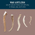Amazon Brand – Wag Split Elk Antler, Naturally Shed, Medium (Best for Dogs 15-30 lbs)