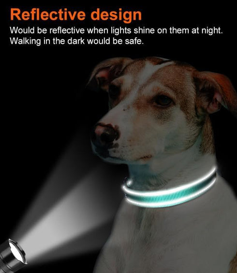 Joytale Reflective Dog Collar - Soft Neoprene Padded Nylon Pet Collar, Adjustable for Medium Dogs, Teal, M