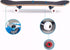 Wilver Complete Skateboards, 31 inches for Beginners, Teens, Girls, Boys, Kids, Adults, Maple Wood