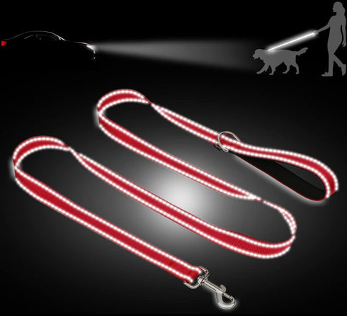 Taglory Dog Leash, Double-Sided Reflective, Soft Neoprene Padded Handle, 3/4 inch by 5 ft, for Dogs Under 20 lbs, Red