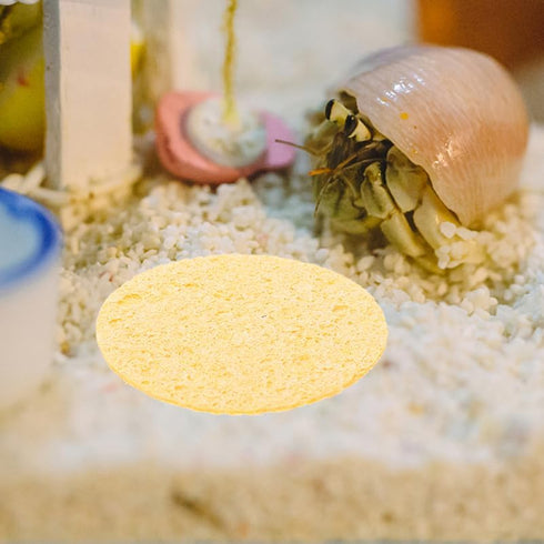 10 Pack Hemoton Natural Hermit Crab Sponge Compact Round Sea Sponges for Tank Humidity and Water Dish Suitable for Pet