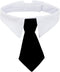 Bowtie for Little Puppy, Adjustable Handcrafted Formal Collar Neck Tie for Dogs & Cats (L, Black)