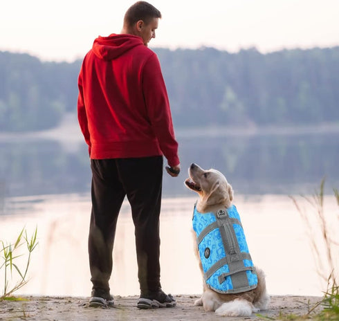 EMUST Dog Life Preserver - Flotation Vest for Swimming, Beach Boating for Small/Medium/Large Dogs, New Blue