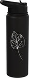 Jimbeels Citrus Leaf Line Art Plant Lover Stainless Steel Insulated Water Bottle