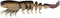 Generic Fishing Lure pslb35 Soft Plastic Shrimp 3.5 Inch 3 per Pack Loose