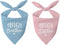 HPXKSHA Baby Announcement Dog Bandana 2 Pack, Big Sister and Big Brother Pet