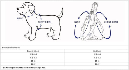 Blueberry Pet Essentials Step-in Dog Harness, Small Size, Adjustable Neon Green Vest, Classic Solid Nylon, Chest Girth