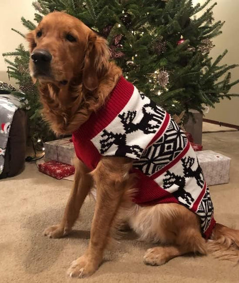 Lanyarco Ugly Dog Christmas Sweaters - Xmas Reindeer Holiday Pet Clothes for Large Dogs, XX-Large