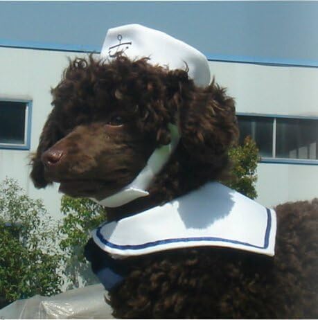 Dogs Kingdom Cat Dog Sailor Costume Set, Navy Tie Hat, White, One Size