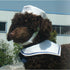 Dogs Kingdom Cat Dog Sailor Costume Set, Navy Tie Hat, White, One Size