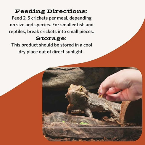 Fluker's Freeze Dried Crickets, Ideal for Reptiles, Birds, Fish, 1.2 oz, Packed with Protein