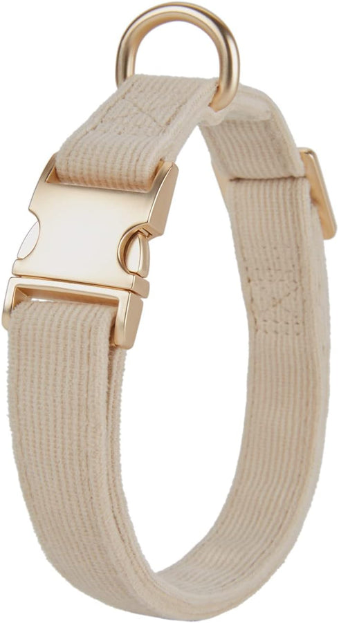 Soft Corduroy Dog Collar - High Grade Metal Buckle for Small Dogs (White, Small: 10-15")