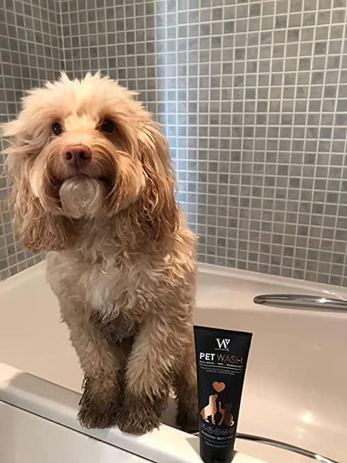 Watermans Pet Wash for Dogs & Cats, Best Dog Shampoo for Skin and Coat Problems, UK Made