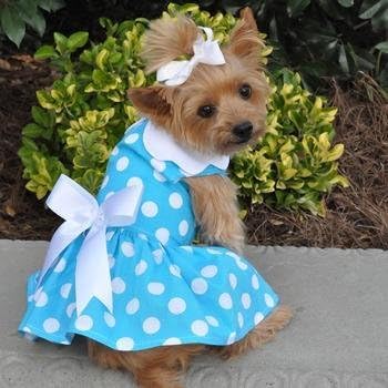 DOGGIE DESIGN Blue Polka Dot Dress with Leash & D-Ring (X-Small)