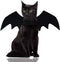 Malier Halloween Cat Costume - Pet Bat Wings for Cats and Dogs