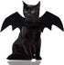 Malier Halloween Cat Costume - Pet Bat Wings for Cats and Dogs