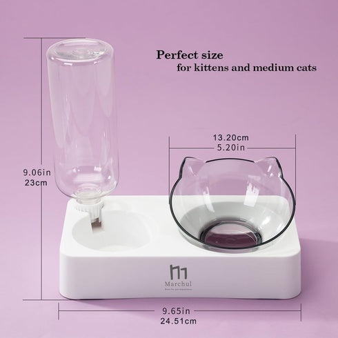 Marchul Tilted Cat Food Bowl with Feeding Mat for Food and Water, Raised Dishes for Cats and Puppies