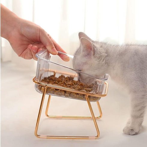 Elevated Cat Food Water Bowl with 15 Degree Tilt, Nonslip Base, Perfect for Multiple Cats
