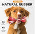 Dog Puppy Bone Toy for Aggressive Chewers, Beef Flavor, Extremely Durable Rubber, Teeth Cleaning and Whitening, Made for Small/Medium Dog Breeds