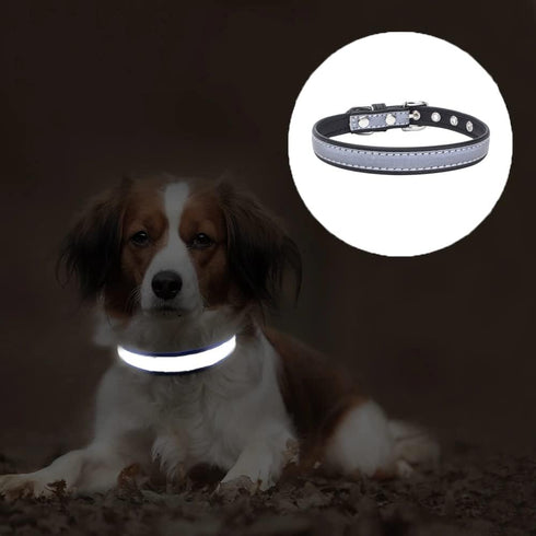 Reflective Dog Collar, High Bright Safety Synthetic PU Leather for XS Small Medium Large Dogs and Kittens (Black, XS)