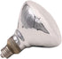 Mercury Vapor Bulb, 100 Watts