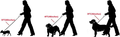 Strong Gold/Silver Dog Chain Leash, 3FT/4FT/5FT, Stainless Steel 12mm Curb Cuban Link with Genuine Leather Handle