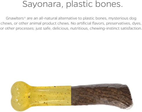 Pet Parents Gnawtlers Premium Antlers for Dogs, Naturally Shed, All Natural Dog Chew, Medium, 1 Count