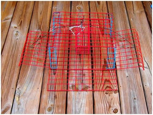 Massachusetts 15" 15" 7" Folding Bridge Blue Crab Trap, Heavy-Duty Metal Wire Mesh Drop-Net, Collapsible Foldable