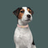 Soft Cotton Dog Collar with Metal Buckle, Adjustable Heavy Duty Comfy Corduroy for Small Medium Large Dogs, Light Pink,