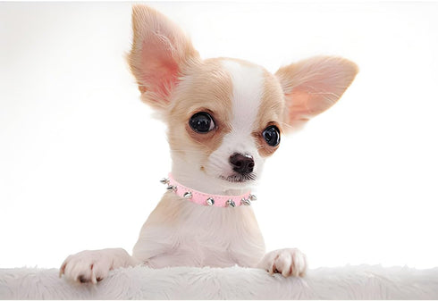 Soft PU Leather Spiked Dog Collar, Adjustable Studded Cat Collars for Girl Boy Small Breed Pet Teacup Mini Tiny Puppy