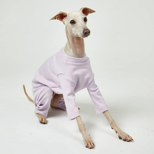 Basic Dog Pajamas, Durable and Elastic Dog Onesie Apparel Outfits for Doggie Jammies (Large, Purple)