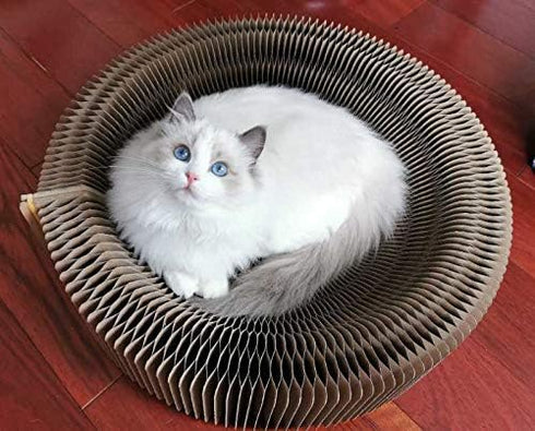 Collapsible Round Shape Cat Scratcher Lounge Bed for Big Cat