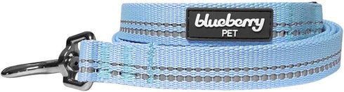 Blueberry Pet 5 ft x 5/8" Reflective Pastel Color Dog Leash, Soft Handle, Baby Blue, Small