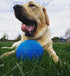 Jolly Pets Medium Soccer Ball Floating-Bouncing Dog Toy - 6 inch Diameter, Ocean Blue