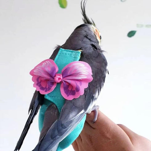 BASICGOLDYAO 2 (2 Pcs Bird Diaper Harness Flight Suit with Waterproof Liner Pet Bird Nappy Clothes with Flying Leash