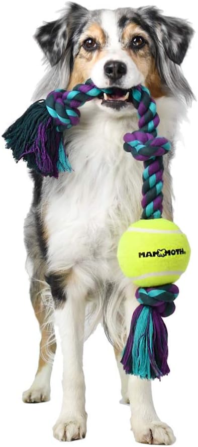 Mammoth Flossy Chews 12” Tug Toy with Standard Tennis Ball - Interactive Rope Toy for Medium Dogs