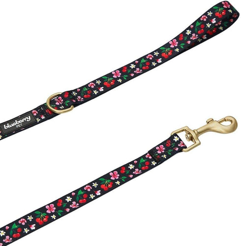 Blueberry Pet 9 Patterns Cherry Garden Black Dog Leash, 5 ft x 5/8", Small